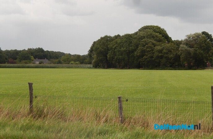 Gewoon een boerenverstand, voorkomt een grote bosbrand - Foto: Willy