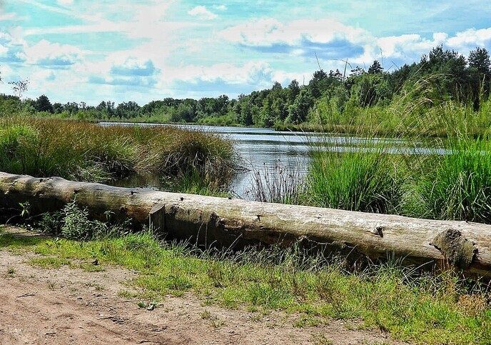 In Staphorst kan je ook machtig “kuieren” - Foto: Femmie Smink