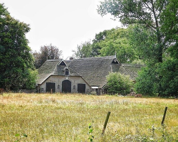 Landgoed de Havixhorst; pracht gebied - Foto: Femmie Smink