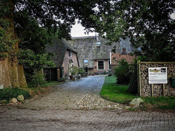 Avereest wandeling - Foto: Femmie Smink