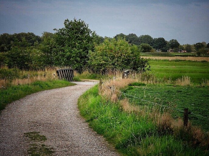 Avereest wandeling - Foto: Femmie Smink