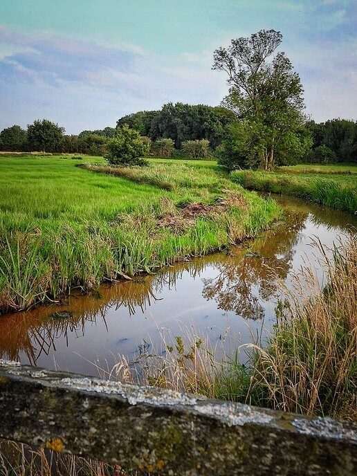 Avereest wandeling - Foto: Femmie Smink