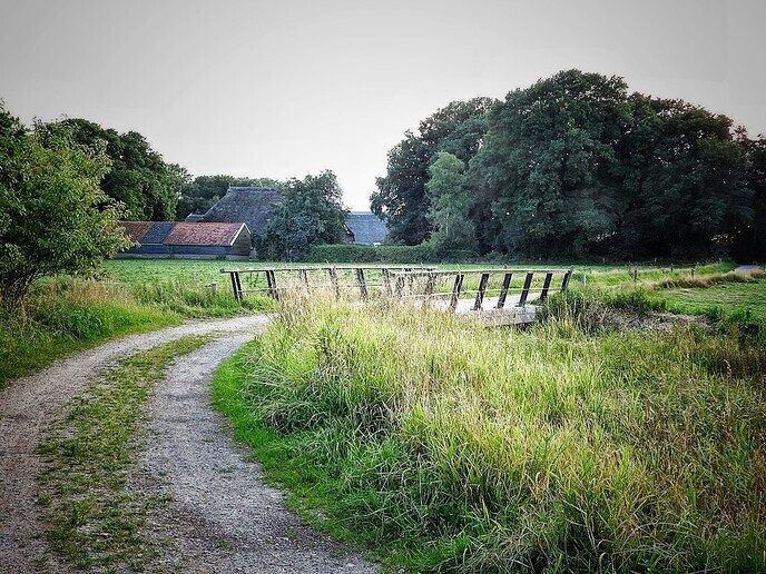 Avereest wandeling - Foto: Femmie Smink