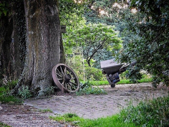 Avereest wandeling - Foto: Femmie Smink