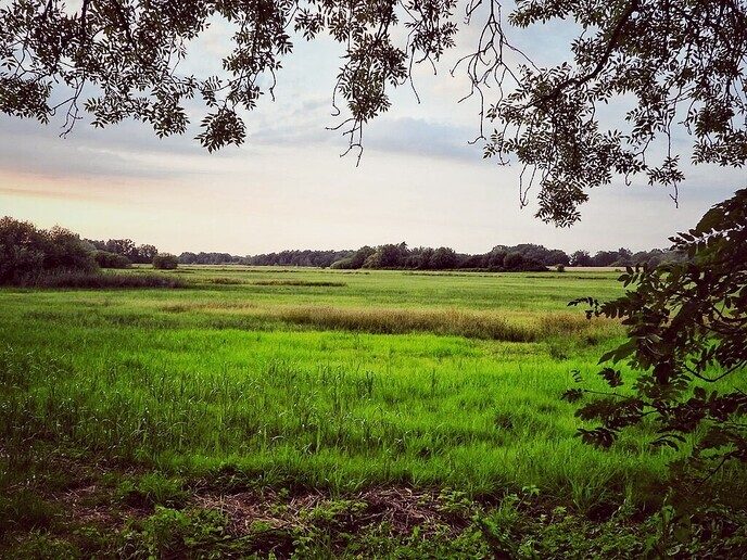 Avereest wandeling - Foto: Femmie Smink