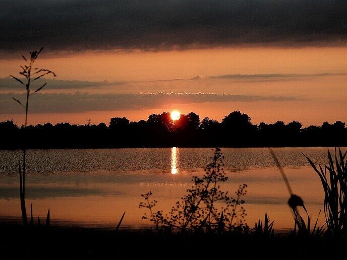 Avereest wandeling - Foto: Femmie Smink