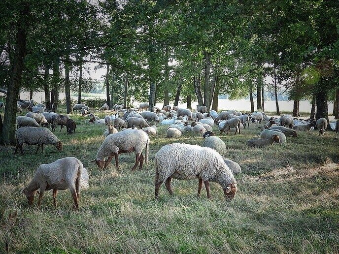 Hier een vakantiegroet uit Buurse (Haaksbergen ) - Foto: Femmie Smink