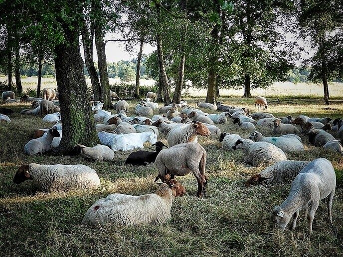Hier een vakantiegroet uit Buurse (Haaksbergen ) - Foto: Femmie Smink