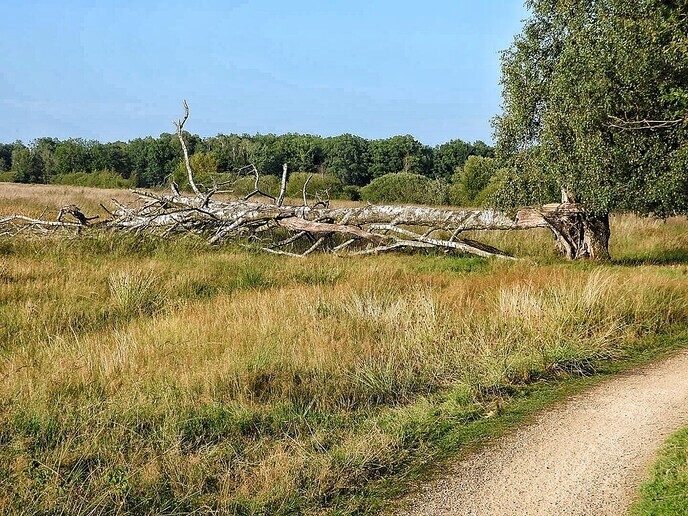Hier een vakantiegroet uit Buurse (Haaksbergen ) - Foto: Femmie Smink