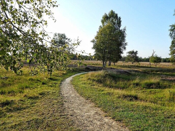 Hier een vakantiegroet uit Buurse (Haaksbergen ) - Foto: Femmie Smink