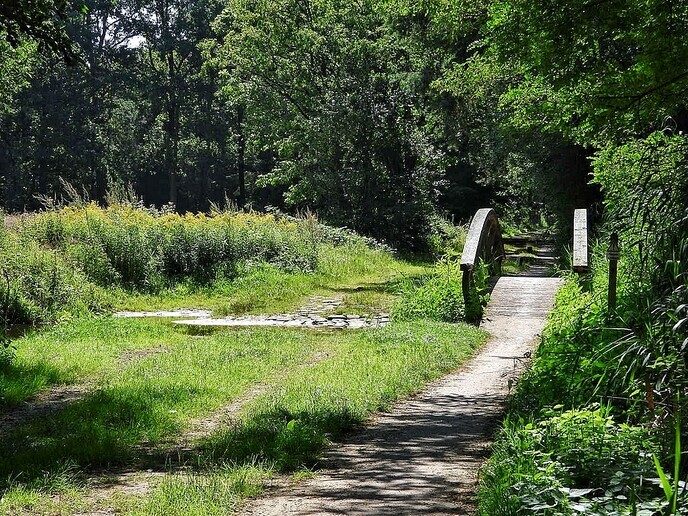De Oostendorper watermolen - Foto: Femmie Smink