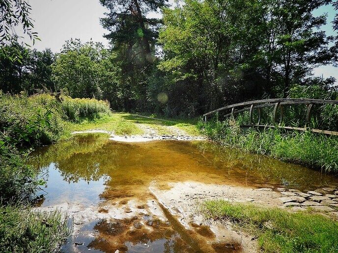 De Oostendorper watermolen - Foto: Femmie Smink