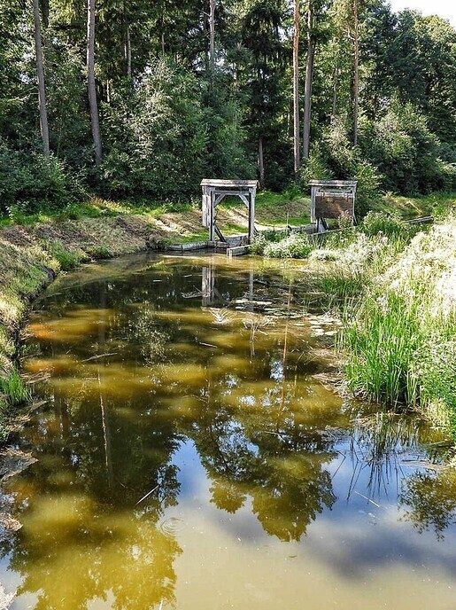 De Oostendorper watermolen - Foto: Femmie Smink
