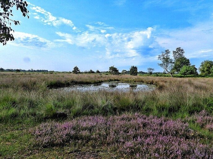 Vakantiegroet uit Buurse - Foto: Femmie Smink