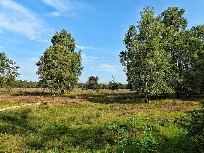 Vakantiegroet uit Buurse - Foto: Femmie Smink