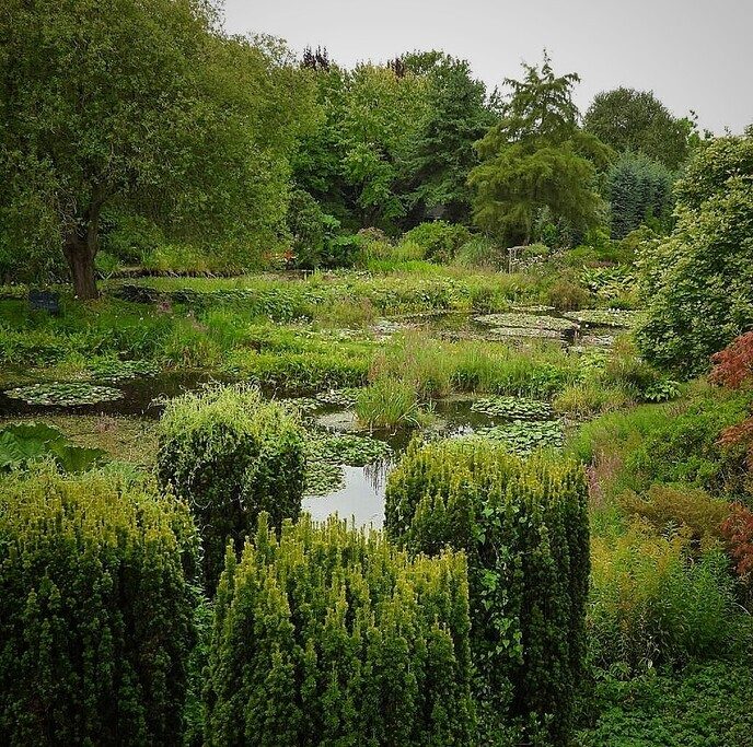 Op bezoek bij Ada Hofman - Foto: Femmie Smink