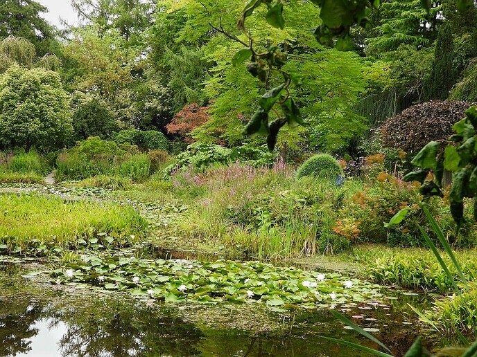 Op bezoek bij Ada Hofman - Foto: Femmie Smink