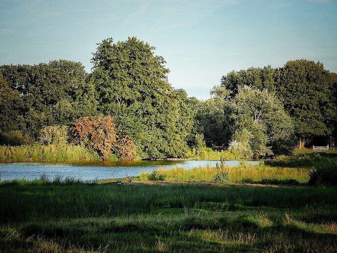 Een avond fietsronde - Foto: Femmie Smink