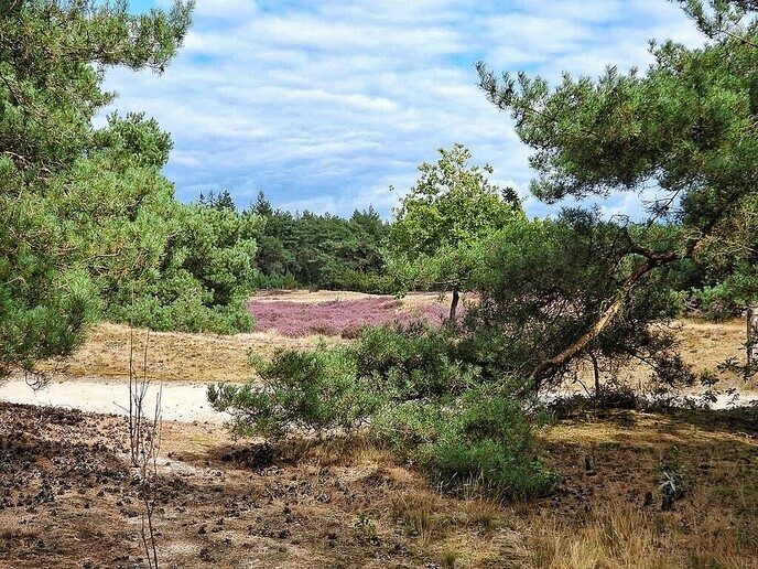Arriën een mooi natuurgebied - Foto: Femmie Smink