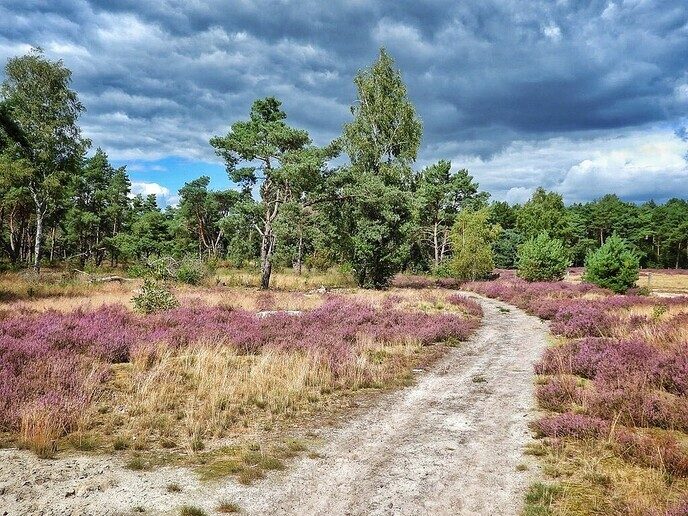 Arriën een mooi natuurgebied - Foto: Femmie Smink