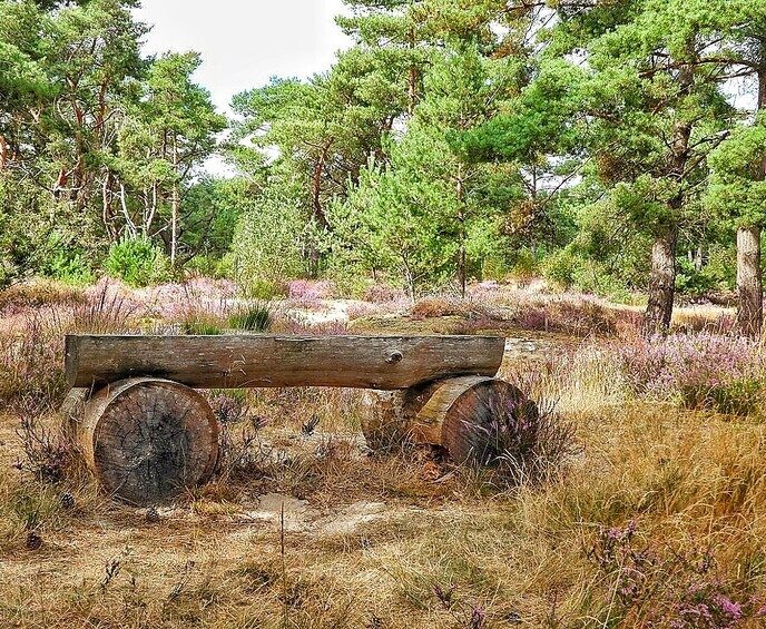 Arriën een mooi natuurgebied - Foto: Femmie Smink