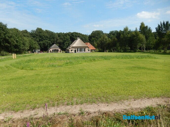 Een plaatje geworden - Foto: Willy