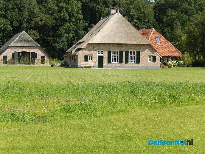 Een plaatje geworden - Foto: Willy