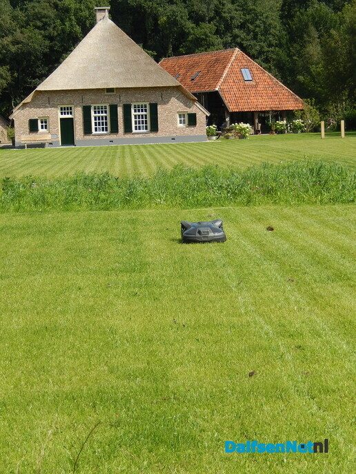 Een plaatje geworden - Foto: Willy