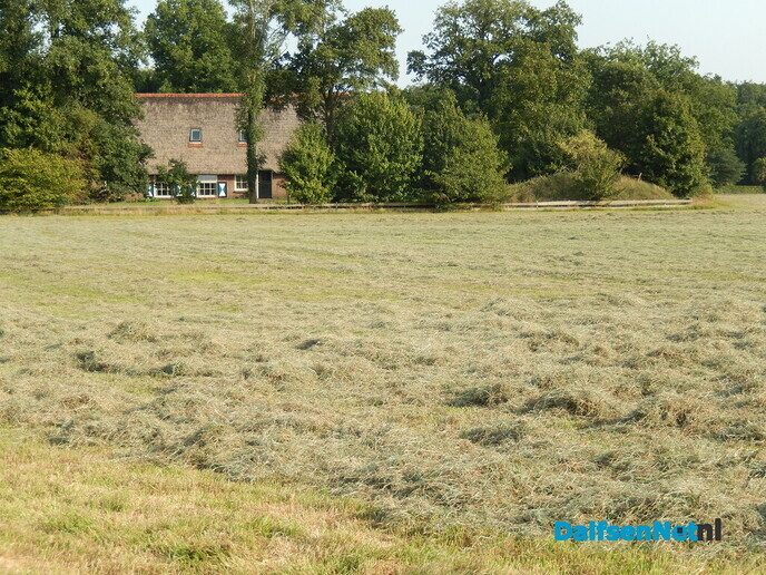De huizen aan de weg in Beerze zijn wel heel bijzonder - Foto: Willy