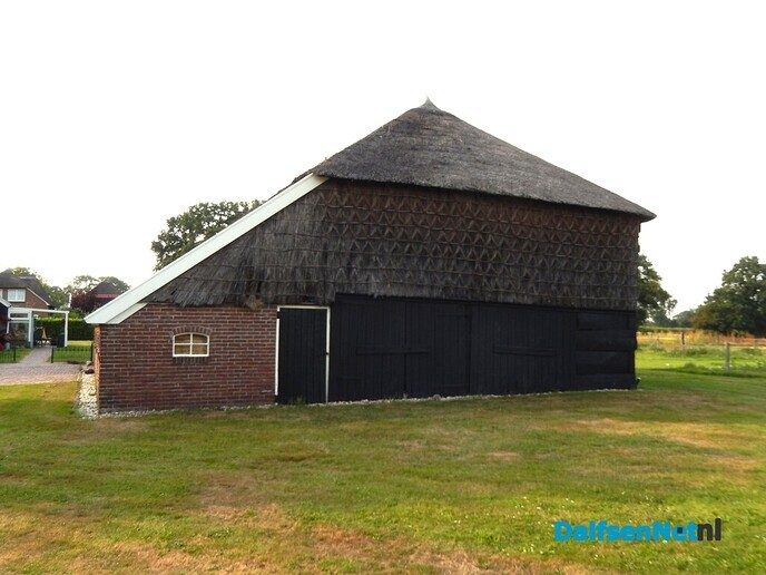 De huizen aan de weg in Beerze zijn wel heel bijzonder - Foto: Willy