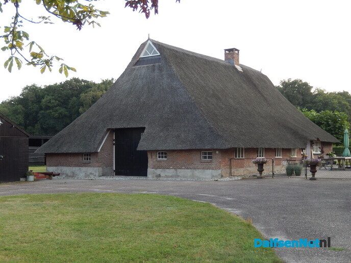De huizen aan de weg in Beerze zijn wel heel bijzonder - Foto: Willy