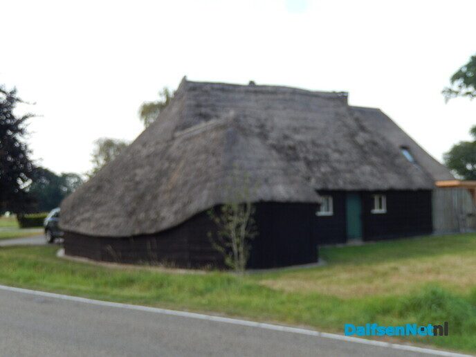 De huizen aan de weg in Beerze zijn wel heel bijzonder - Foto: Willy