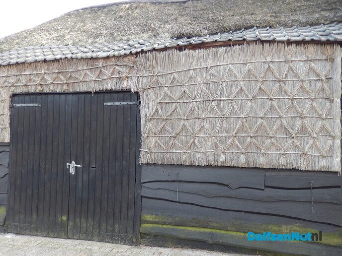 De huizen aan de weg in Beerze zijn wel heel bijzonder - Foto: Willy