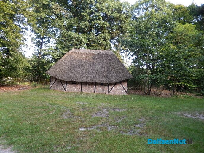 De huizen aan de weg in Beerze zijn wel heel bijzonder - Foto: Willy