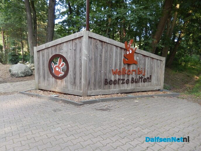 De huizen aan de weg in Beerze zijn wel heel bijzonder - Foto: Willy