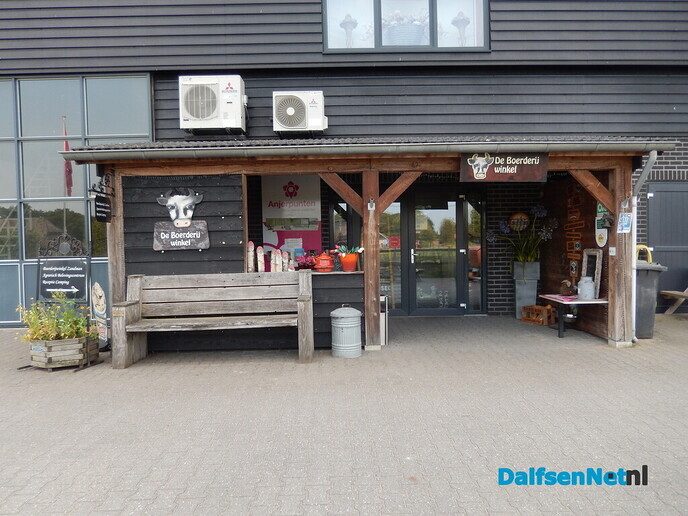 De huizen aan de weg in Beerze zijn wel heel bijzonder - Foto: Willy