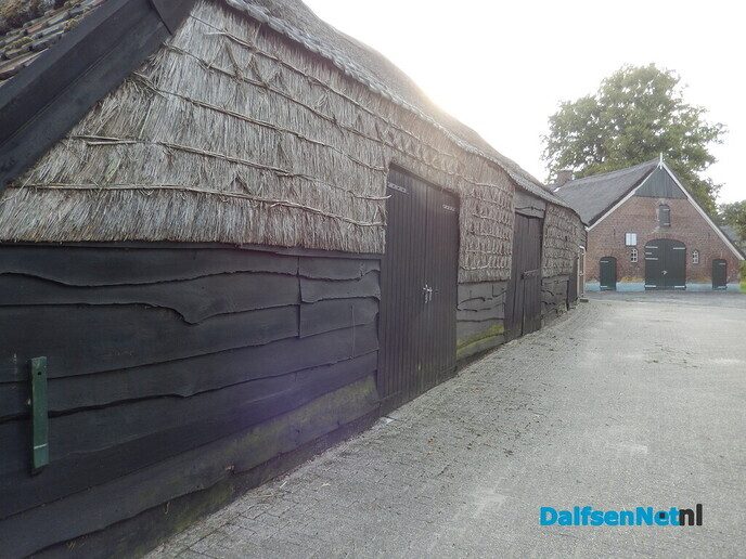 De huizen aan de weg in Beerze zijn wel heel bijzonder - Foto: Willy