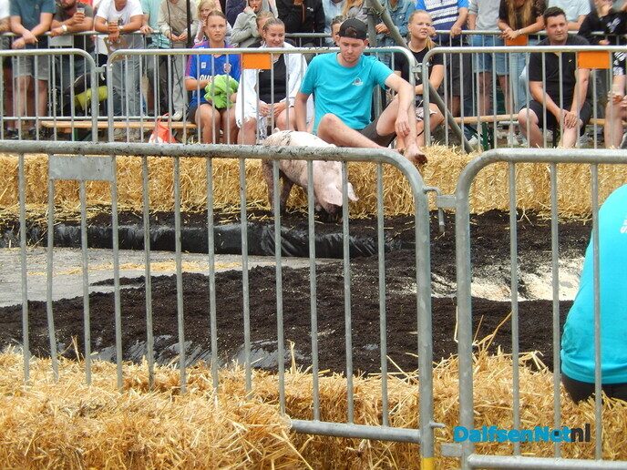 Zwientie tikken wat een belangstelling, wat een volk en wat een schik - Foto: Willy