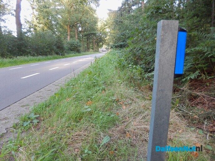 Wildspiegel of wildreflector, blauw, je ziet het steeds vaker - Foto: Willy