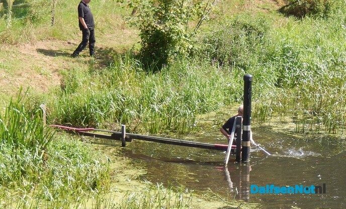 Met een zeis maaien in de Vecht (2) - Foto: Willy
