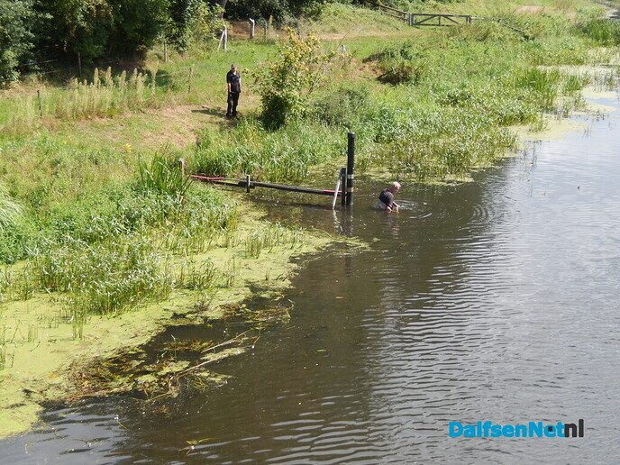 Met een zeis maaien in de Vecht (2) - Foto: Willy