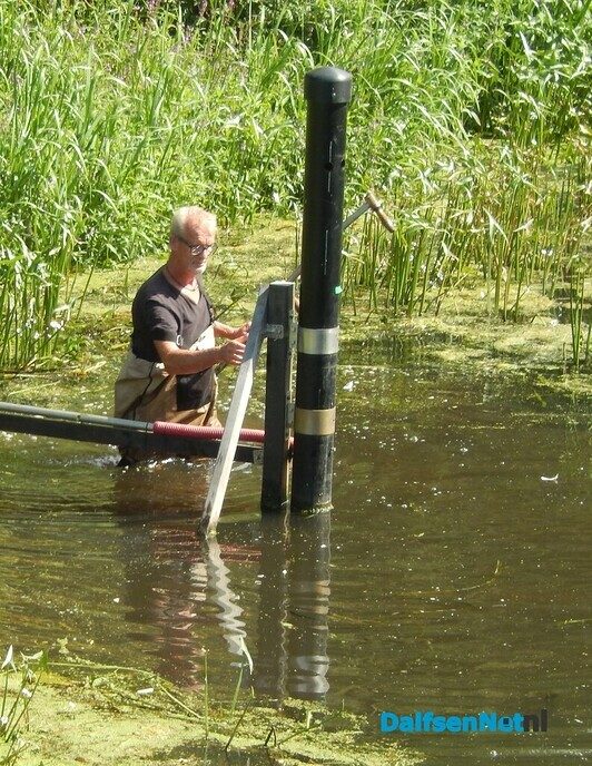 Met een zeis maaien in de Vecht (2) - Foto: Willy