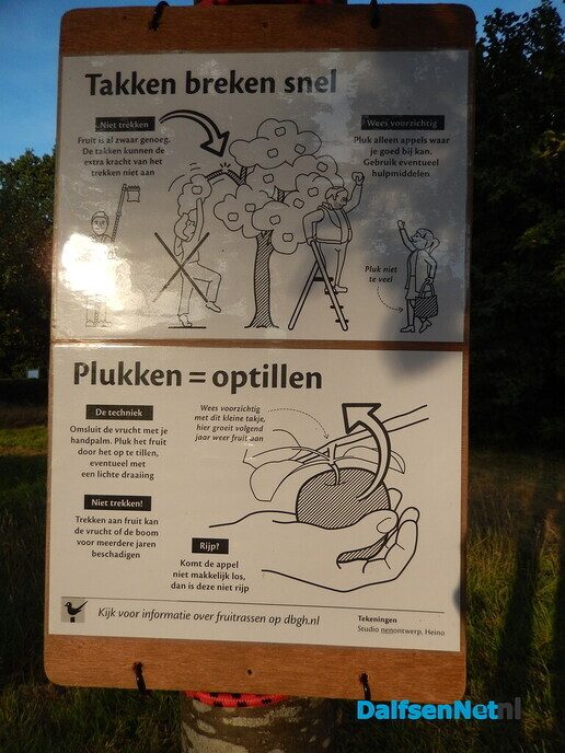 Appeltje voor de Heinoer - Foto: Willy