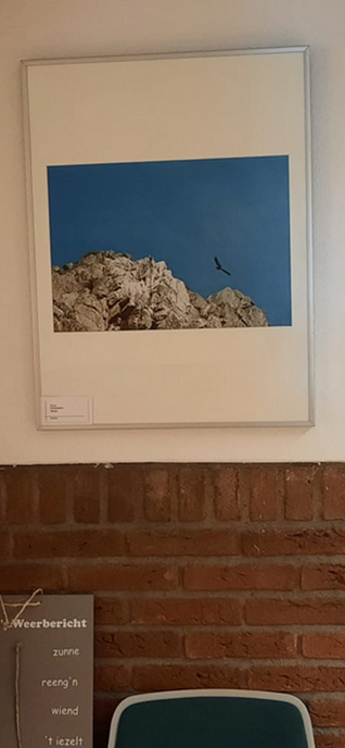 Nieuwe expositie in ‘de Olmen’ - Foto: Ingezonden foto