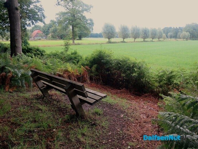 Vandaag een korte 2 G wandeling van 8,5 km - Foto: Wim