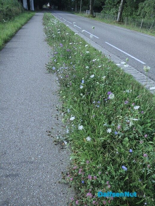 Vandaag een korte 2 G wandeling van 8,5 km - Foto: Wim