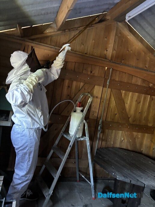 Student Windesheim start bedrijf - Foto: Ingezonden foto