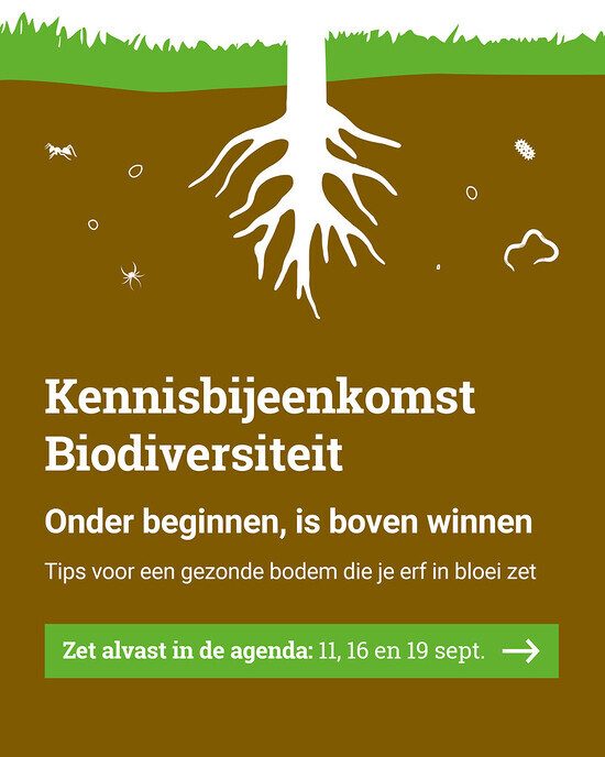 Zet uw erf in bloei: leer alles over een gezonde bodem - Foto: Ingezonden foto