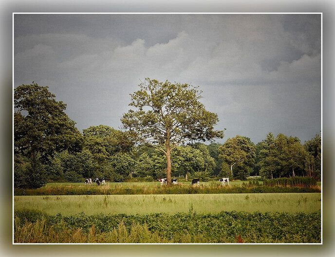 Diverse waarnemingen onderweg - Foto: Femmie Smink