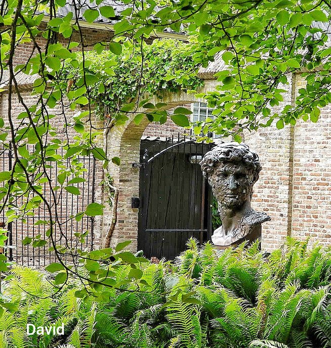 Landgoed de Havixhorst; pracht gebied - Foto: Femmie Smink